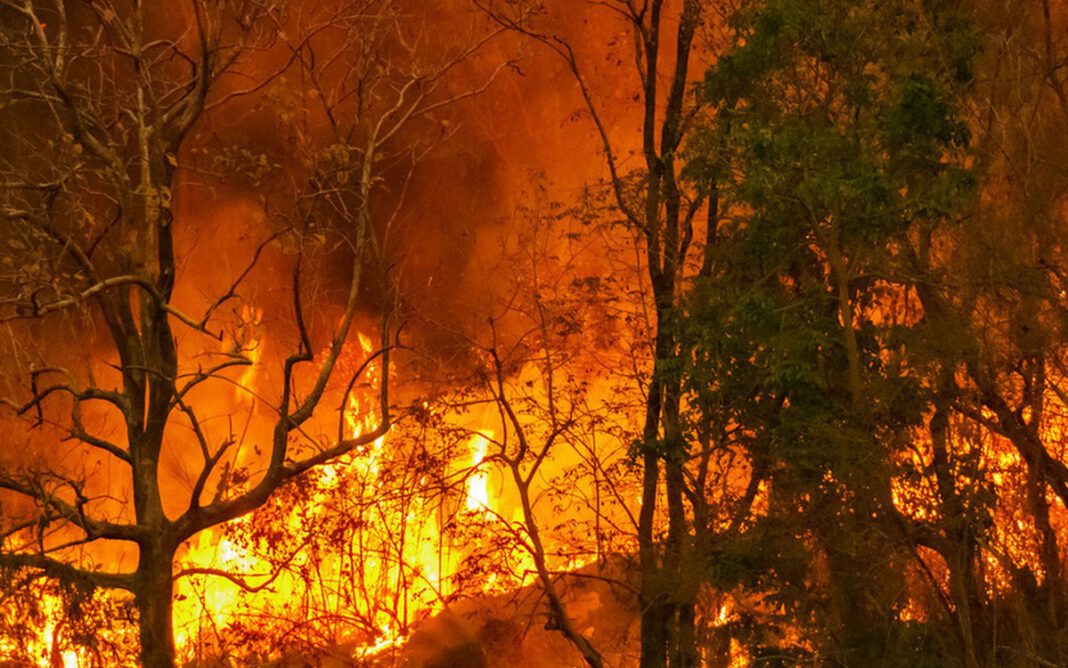 Hessen aktiviert Alarmstufe A wegen anhaltender Trockenheit und hoher Waldbrandgefahr