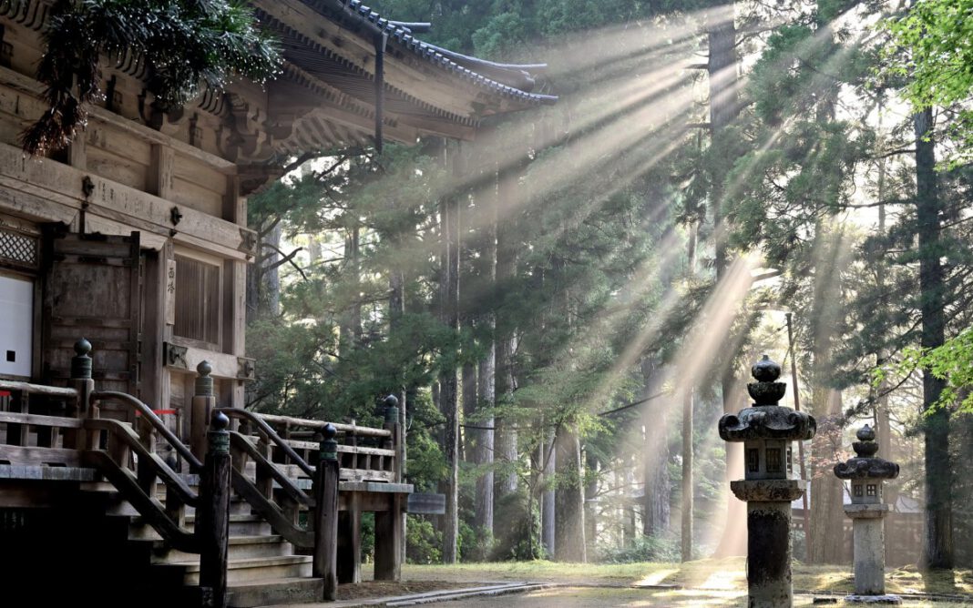 Japan Fest München 2023: Rückblick auf Highlights, Kulturprogramm und Besucherzahlen