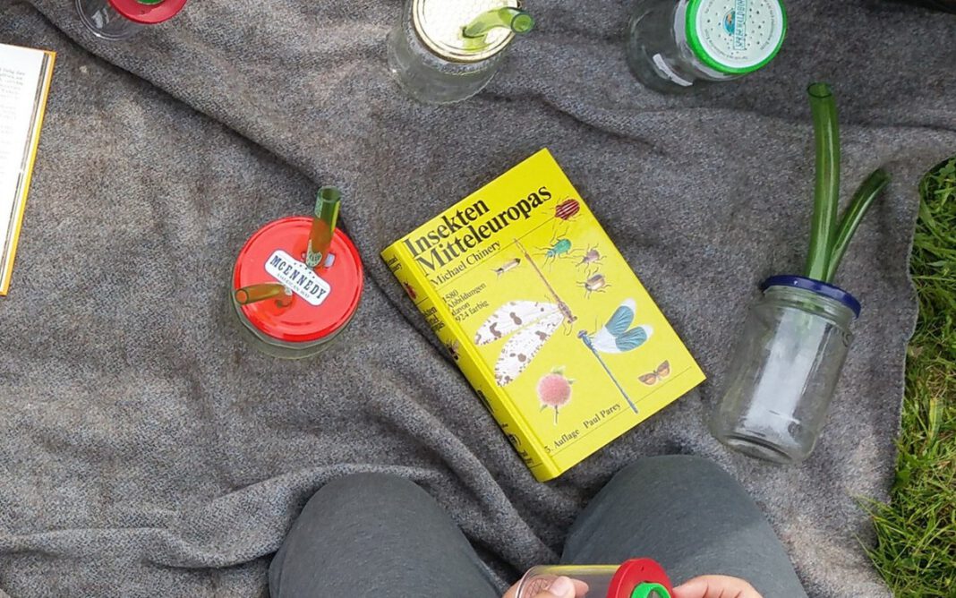 Kinder erforschen Fledermäuse und Insekten im Vogelsberg