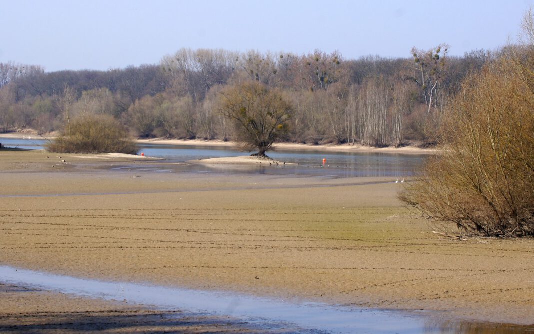 Kostenlose Exkursion auf dem Kühkopf untersucht Landschaftswandel und Zukunft der Rheinauen