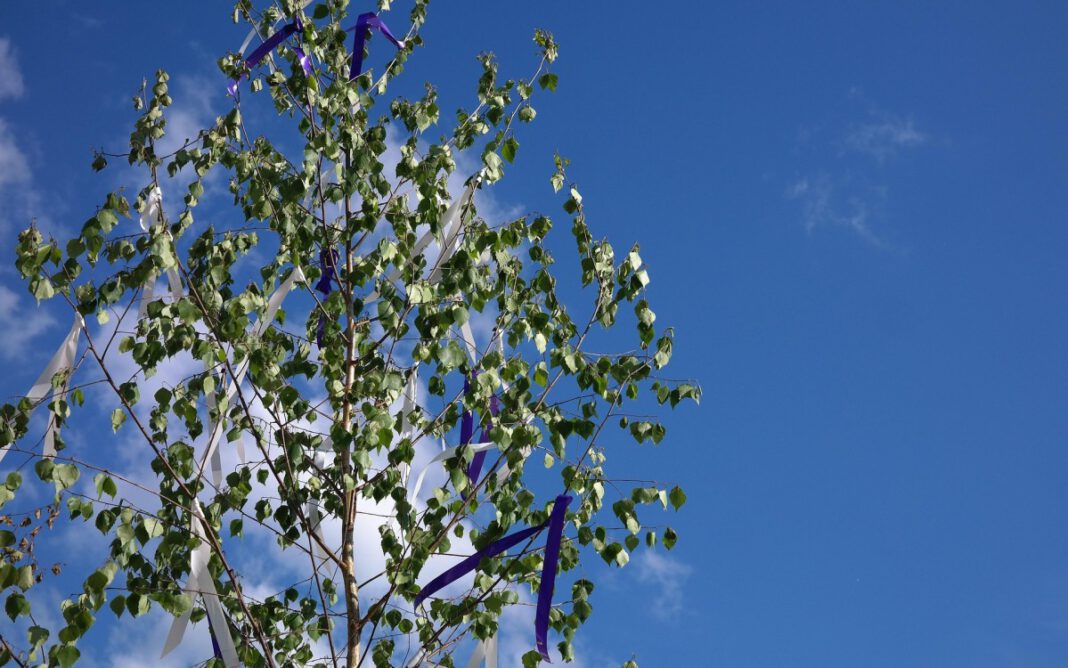 Maibaum Vaterstetten 2023: Rückblick auf Aufbau, Trachten und Feierlichkeiten