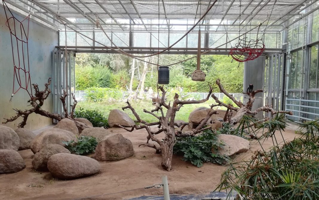 Zooführung im Vivarium erklärt Überlebensstrategien von Tieren im Winter